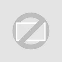 Monitor de 12